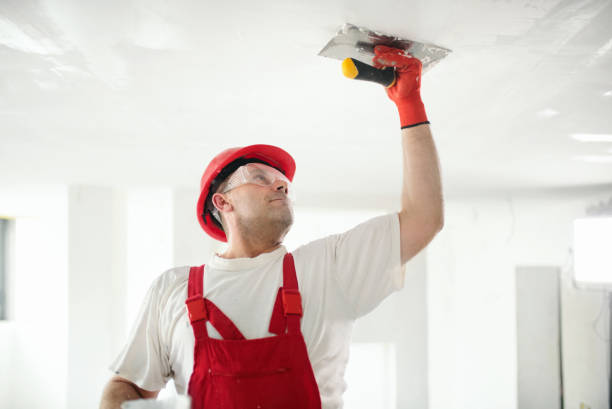 Reliable Hale Center, TX Dry wall and painting Solutions